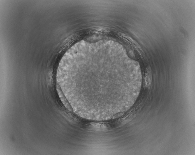 X0000115400520200912151523