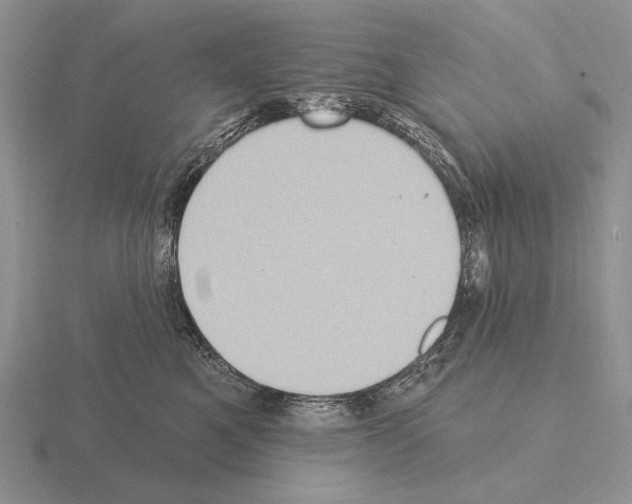 X0000115400521200912151523