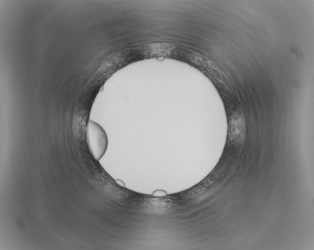 X0000115400522200912151523