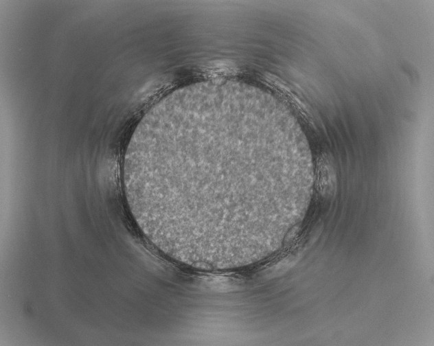 X0000115400523200912151523