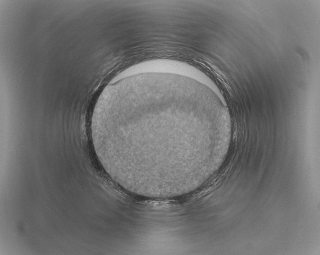 X0000115400524200912151523