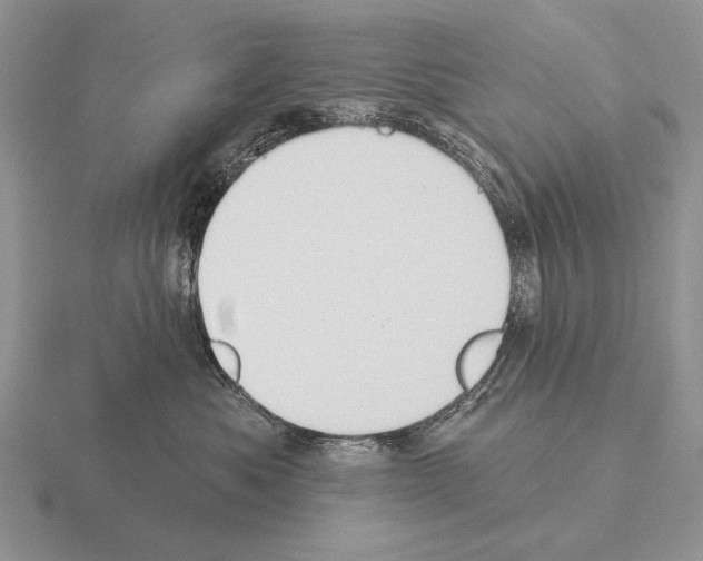 X0000115400525200912151523