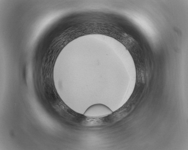 X0000115400526200912151523