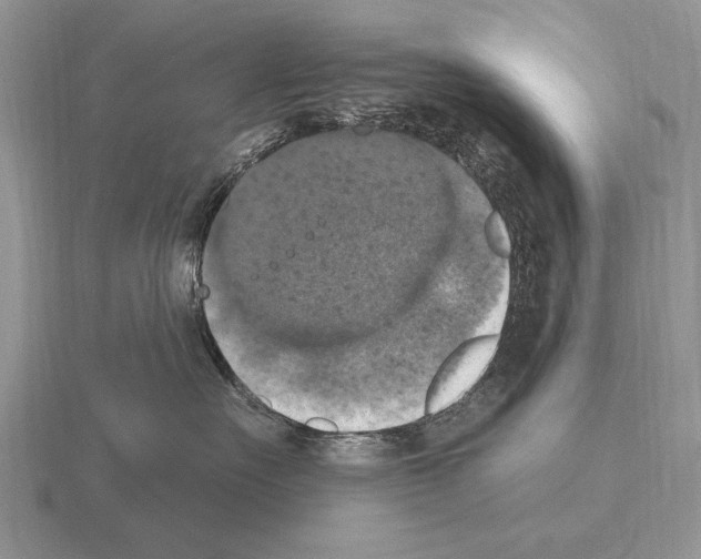 X0000115400527200912151523