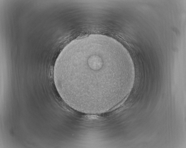 X0000115400528200912151523