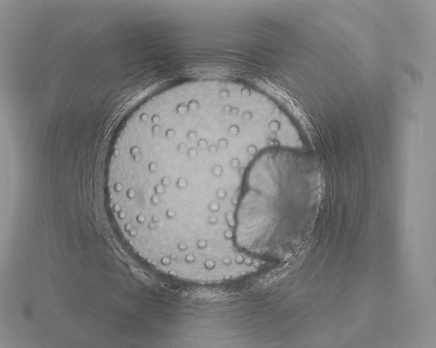 X0000115400529200912151522