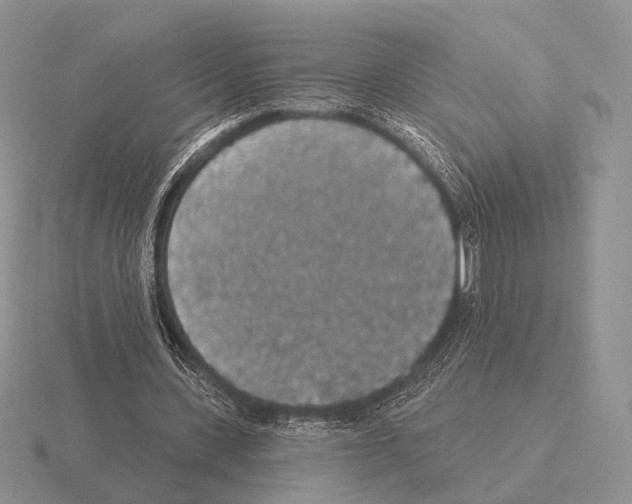 X0000115400531200912151522