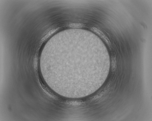 X0000115400533200912151522