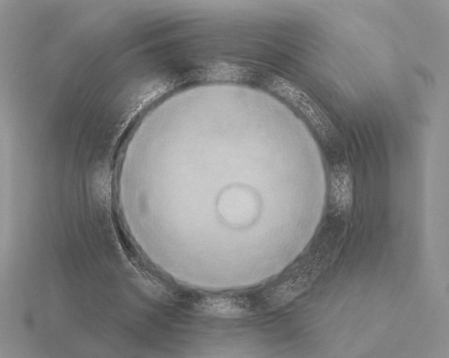 X0000115400534200912151522