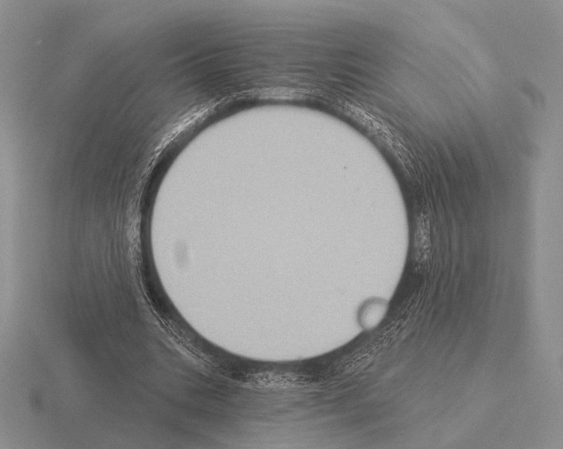 X0000115400535200912151522