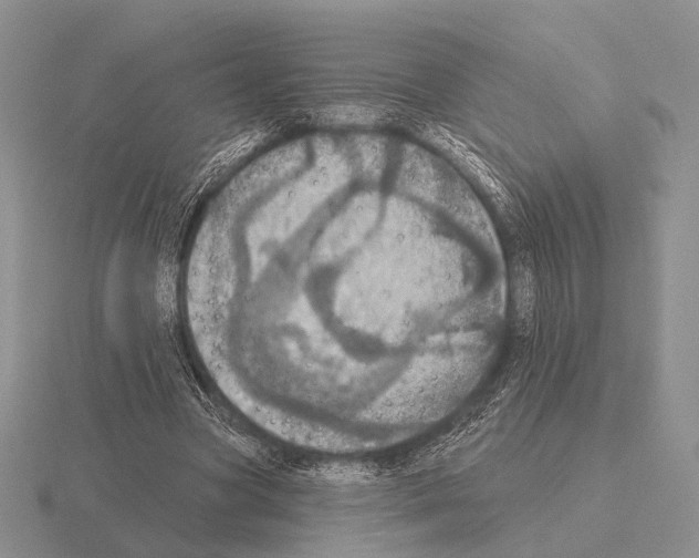 X0000115400537200912151522