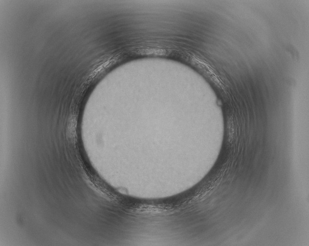 X0000115400538200912151522