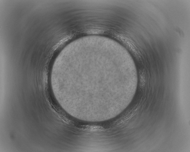 X0000115400539200912151522