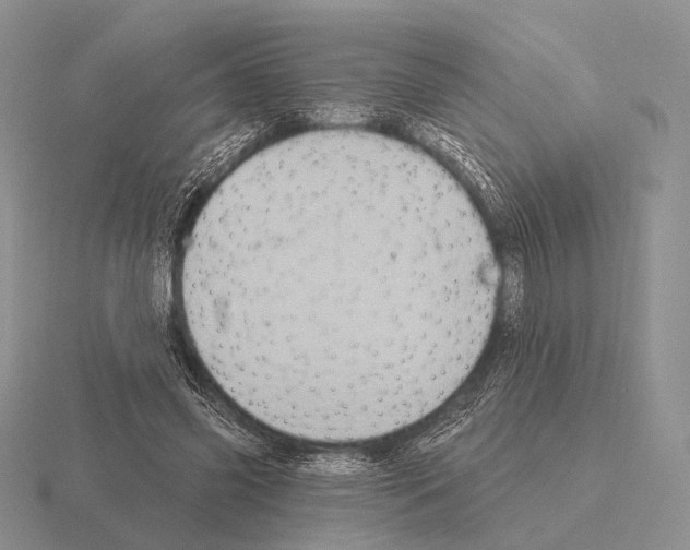 X0000115400541200912151522