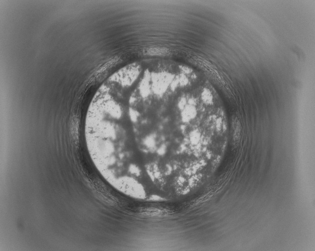 X0000115400542200912151522