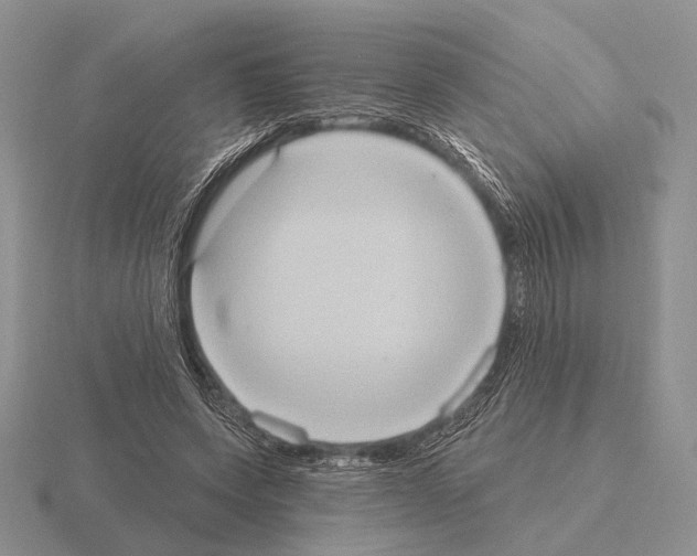 X0000115400543200912151522