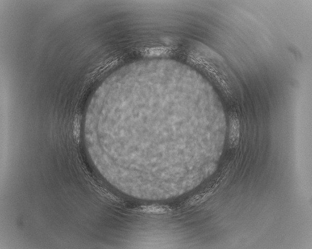 X0000115400545200912151522