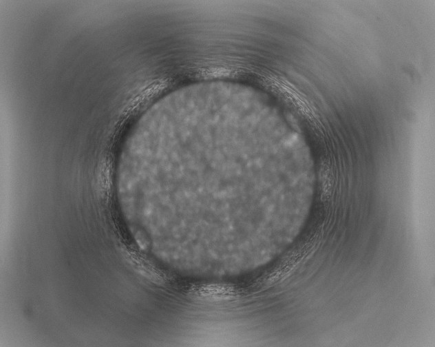 X0000115400546200912151522