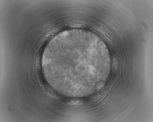 X0000115400547200912151522