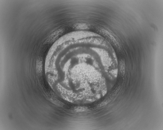 X0000115400549200912151522