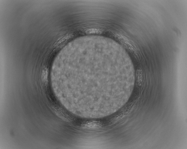 X0000115400550200912151522