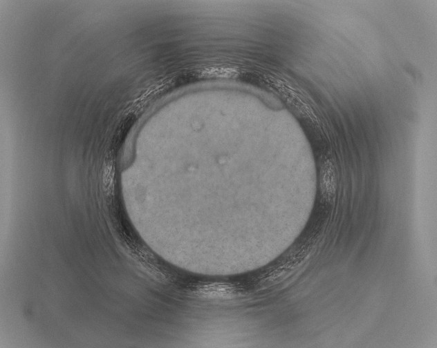 X0000115400551200912151522