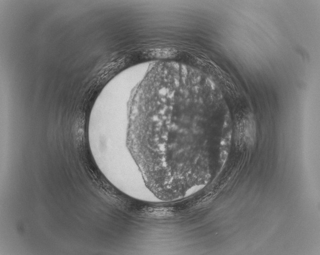 X0000115400553200912151522