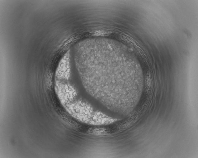 X0000115400554200912151522