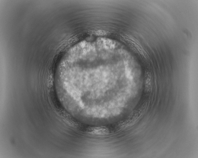 X0000115400555200912151522