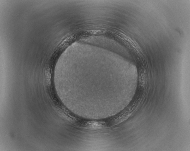 X0000115400558200912151522