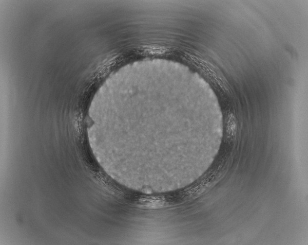 X0000115400559200912151522