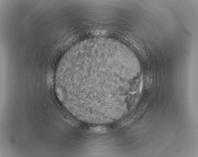 X0000115400561200912151522