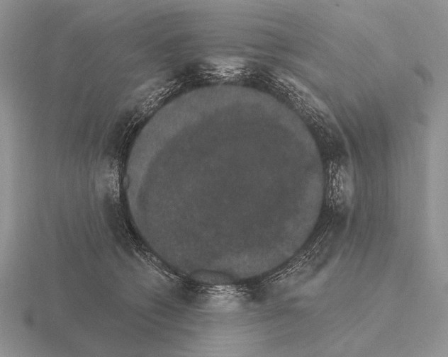 X0000115400562200912151522