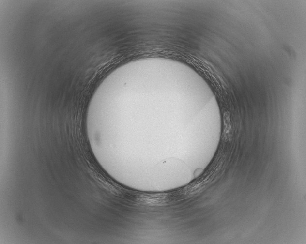 X0000115400563200912151523