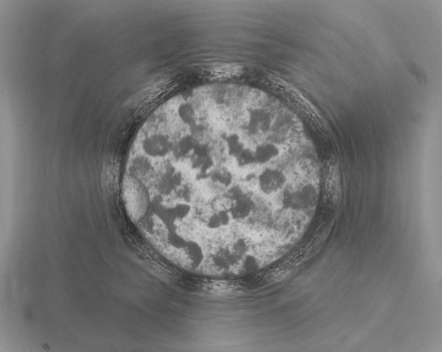 X0000115400565200912151523