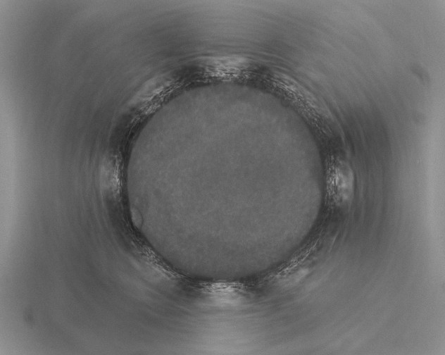 X0000115400566200912151523