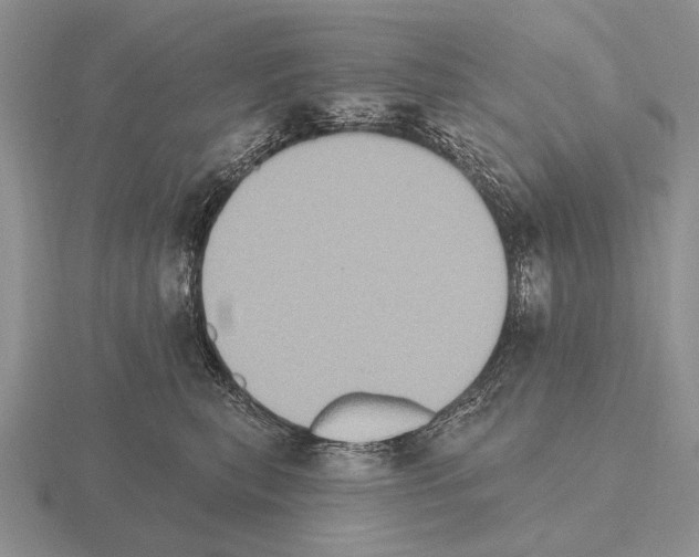 X0000115400567200912151523