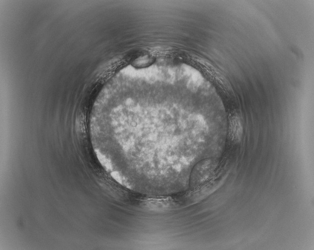 X0000115400571200912151523