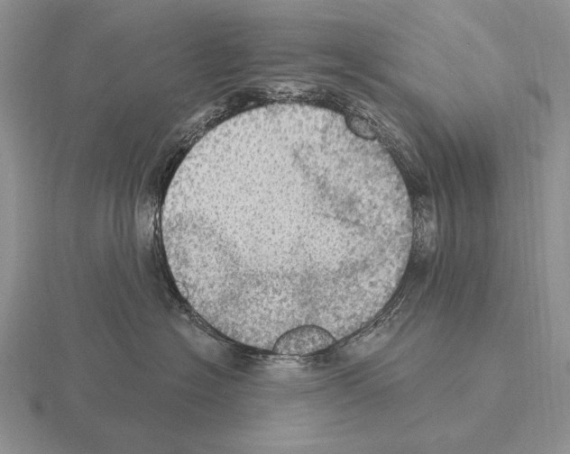 X0000115400574200912151523