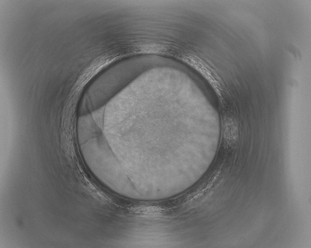 X0000115400577200912151522