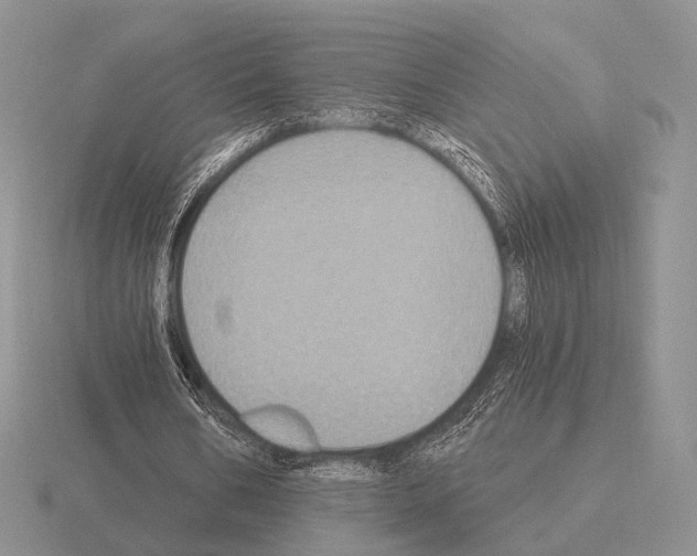 X0000115400578200912151522