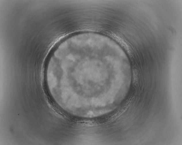 X0000115400580200912151522