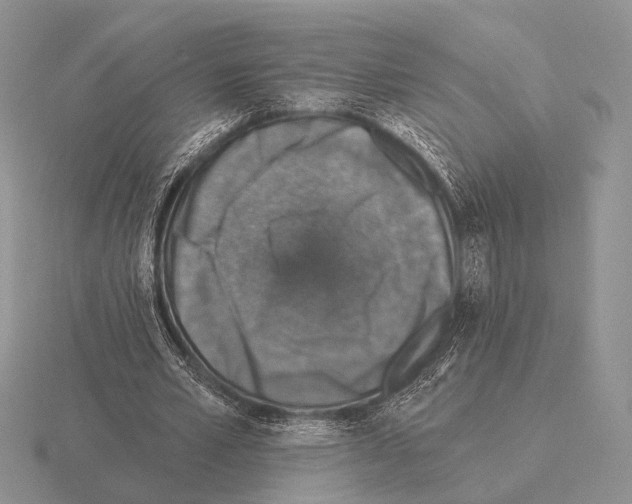 X0000115400581200912151522