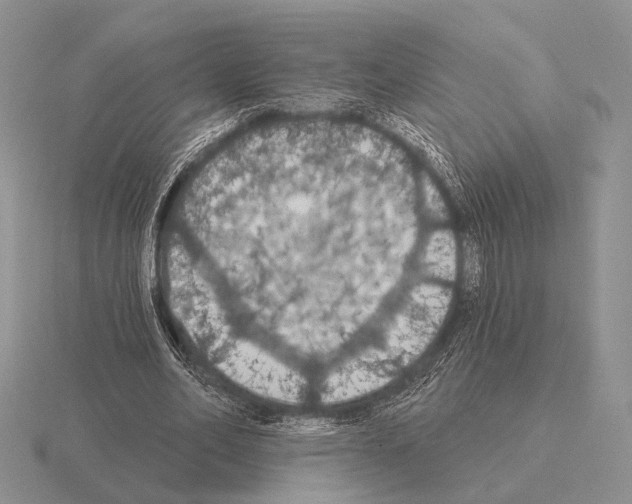 X0000115400582200912151522