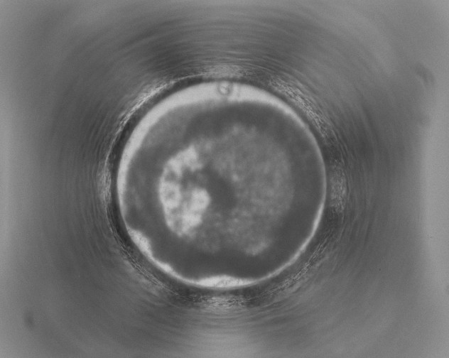 X0000115400584200912151522