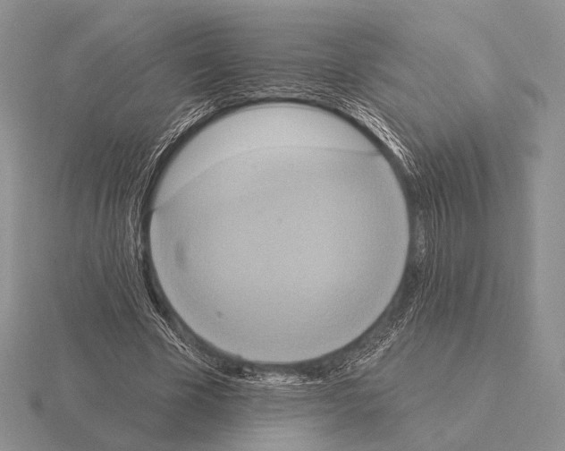 X0000115400585200912151522