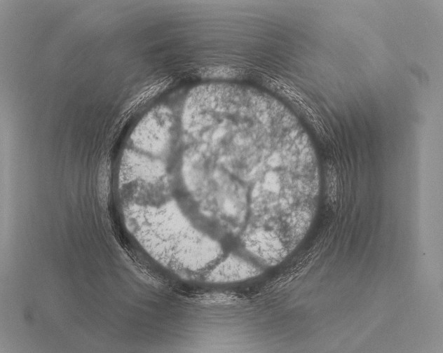 X0000115400586200912151522