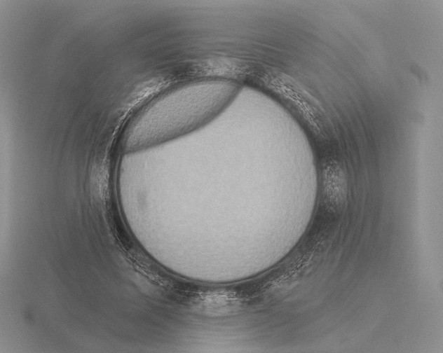 X0000115400587200912151522