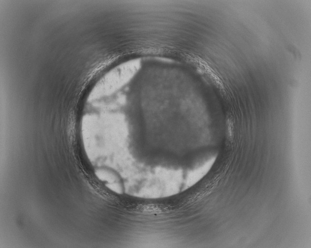 X0000115400588200912151522