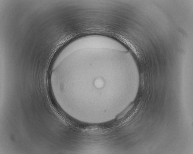 X0000115400589200912151522